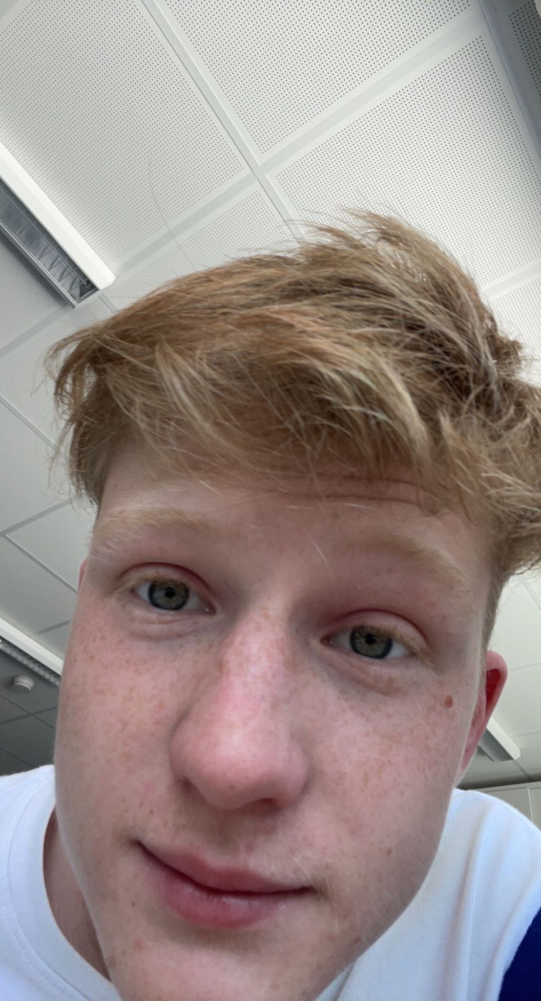 Bild von Max
